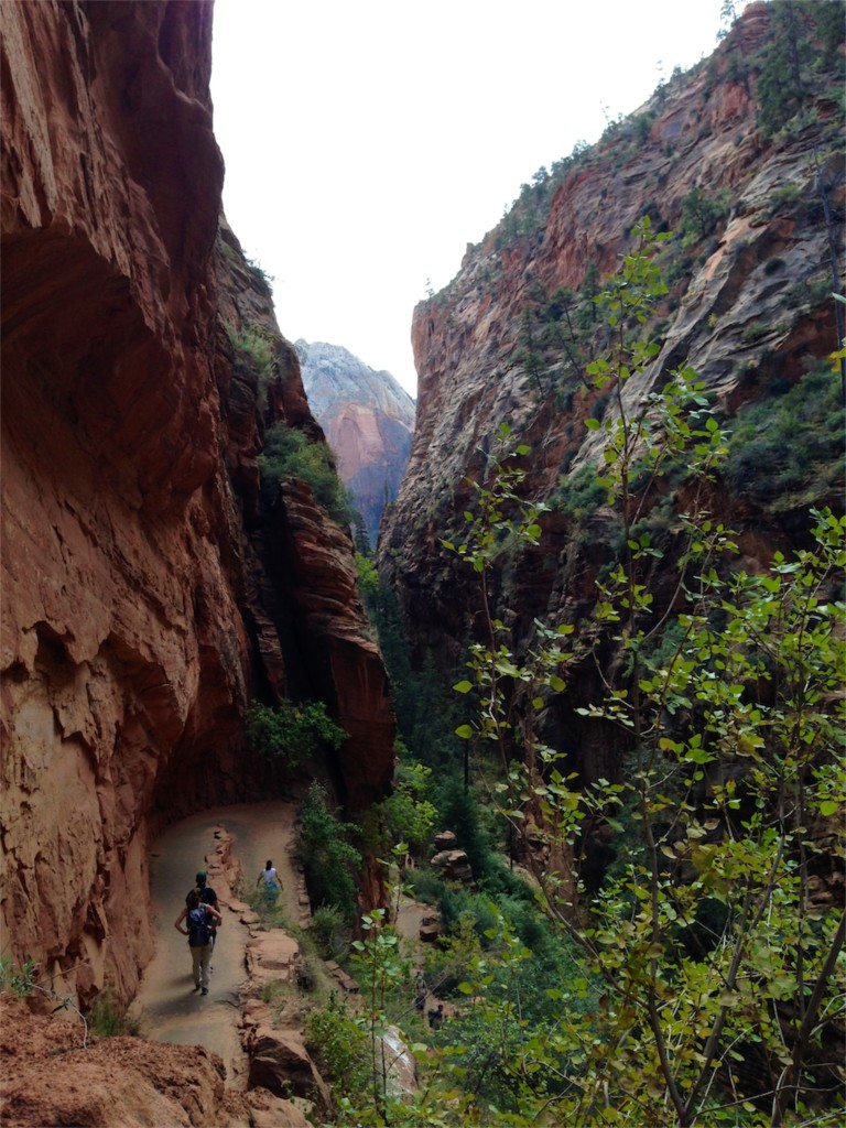 1Angels Landing