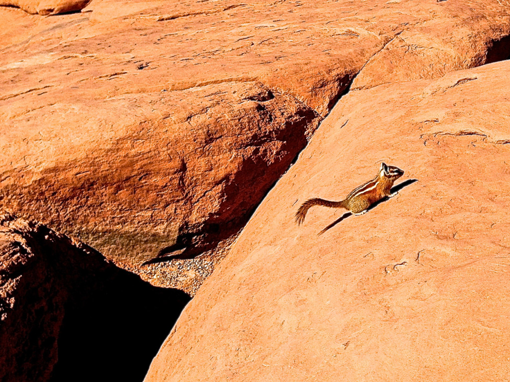 Chippy Arches Moab Utah