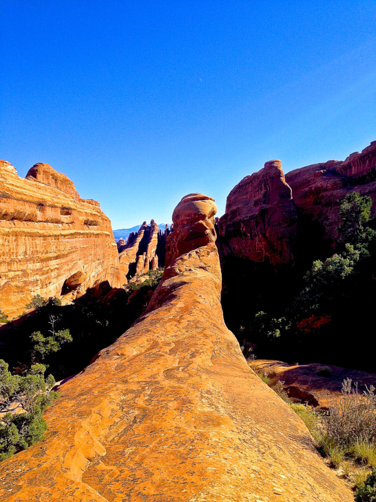 The Devils Garden Moab Utah