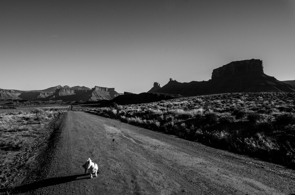 Moab Hwy 128 Sophie Utah